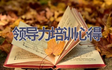领导力培训心得(16篇范文）插图