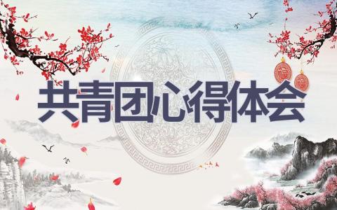 共青团心得体会(16篇范文）插图