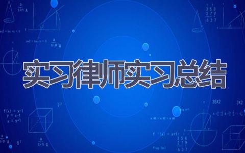 实习律师实习总结(16篇范文）插图