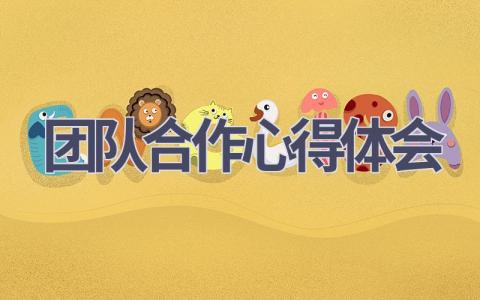团队合作心得体会(19篇范文）插图