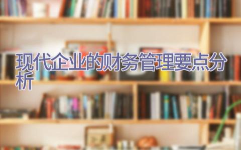 现代企业的财务管理要点分析插图