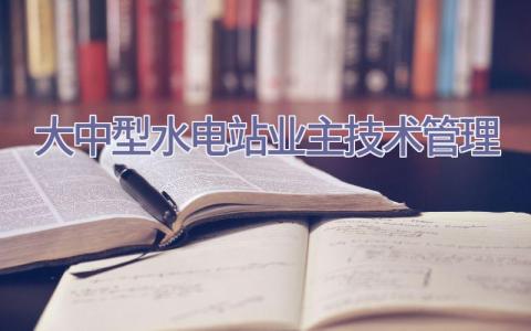 大中型水电站业主技术管理插图
