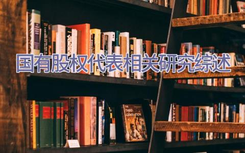 国有股权代表相关研究综述插图