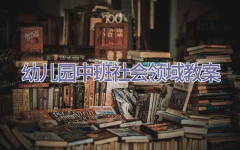 幼儿园中班社会领域教案插图