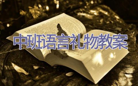 中班语言礼物教案插图