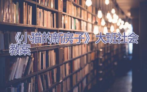 《小猫的新房子》大班社会教案插图