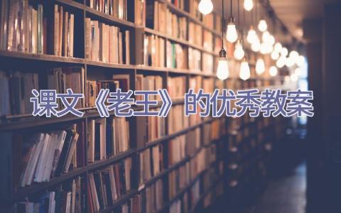 课文《老王》的优秀教案插图
