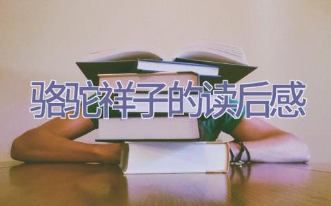 骆驼祥子的读后感插图