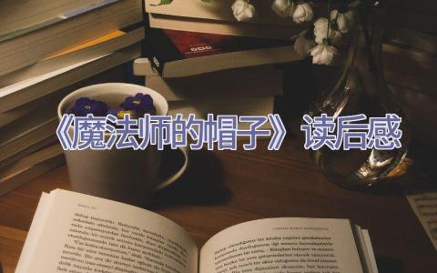 《魔法师的帽子》读后感插图