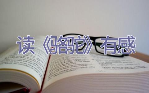 读《骆驼》有感插图