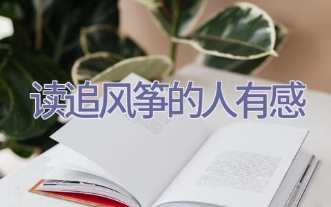 读追风筝的人有感插图