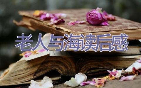 老人与海读后感插图