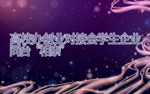 高校办创业对接会学生企业同台“相亲”插图