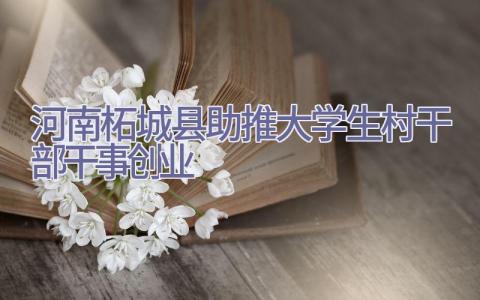 河南柘城县助推大学生村干部干事创业插图