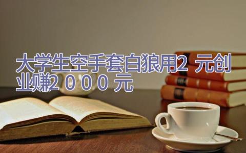 大学生空手套白狼用2元创业赚2000元插图