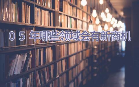 05年哪些领域会有新商机插图