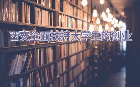 西安全面扶持大学生的创业插图