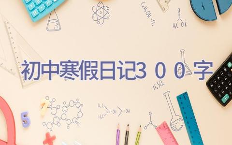 初中寒假日记300字插图