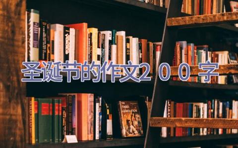 圣诞节的作文200字插图