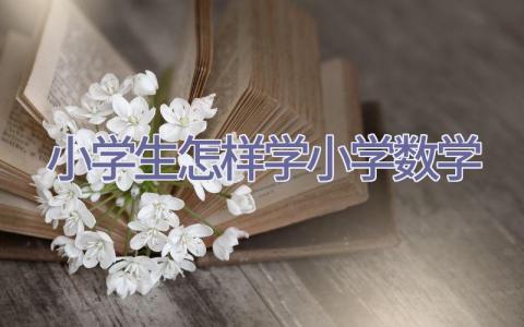 小学生怎样学小学数学插图