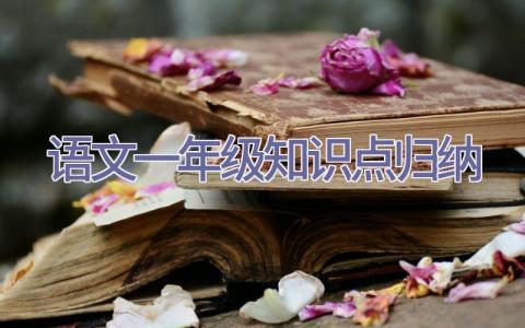 语文一年级知识点归纳插图
