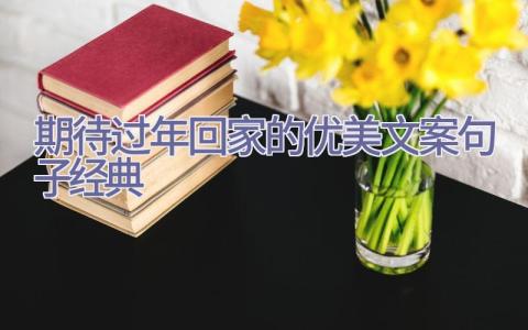 期待过年回家的优美文案句子经典插图