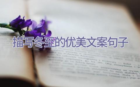 描写冬至的优美文案句子插图