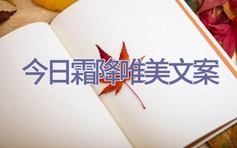 今日霜降唯美文案插图