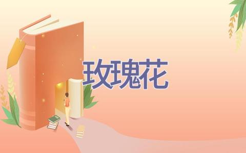 玫瑰花插图