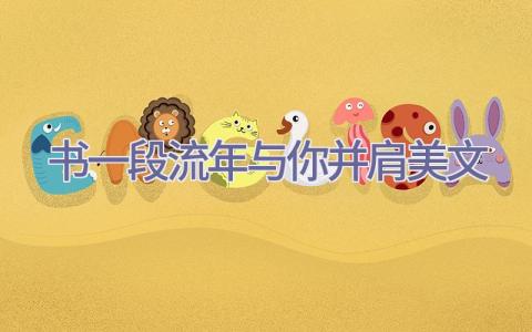 书一段流年与你并肩美文插图