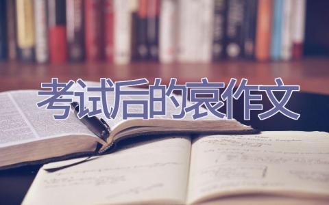 考试后的哀作文插图