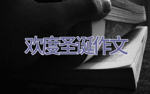 欢度圣诞作文插图