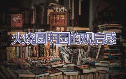 火烧圆明园的观后感插图