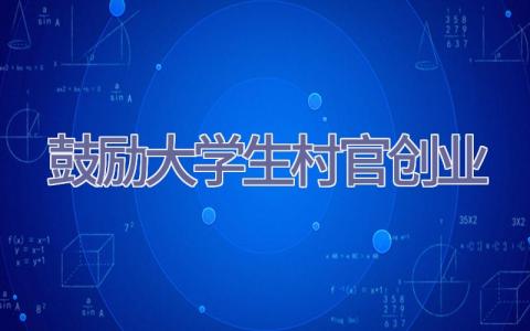 鼓励大学生村官创业插图