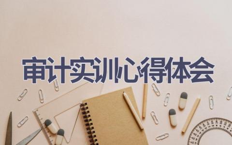 审计实训心得体会(12篇范文）插图