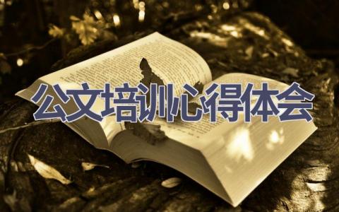 公文培训心得体会(4篇范文）插图