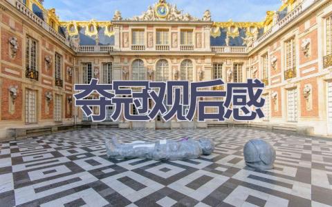 夺冠观后感(19篇范文）插图