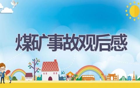 煤矿事故观后感(12篇范文）插图