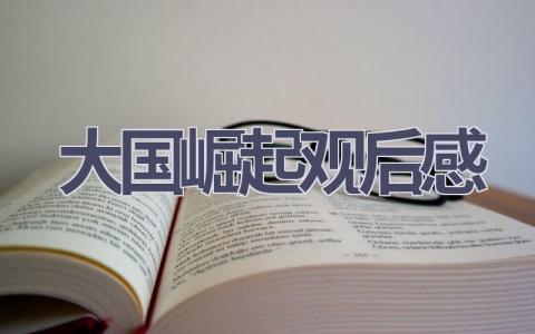 大国崛起观后感(16篇范文）插图