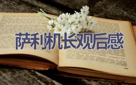 萨利机长观后感(13篇范文）插图