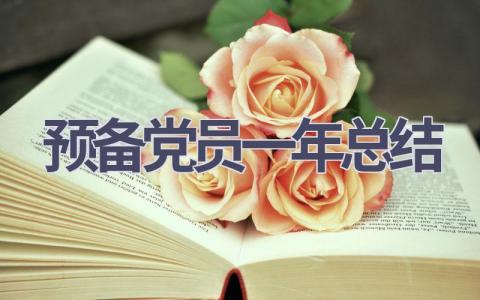 预备党员一年总结(15篇范文）插图