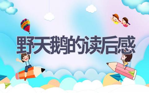 野天鹅的读后感(4篇范文）插图