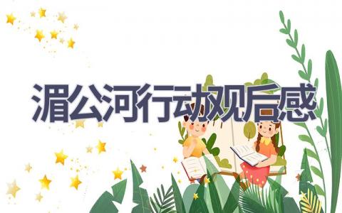 湄公河行动观后感(14篇范文）插图