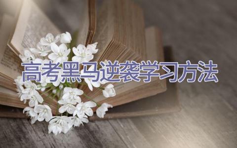 高考黑马逆袭学习方法插图