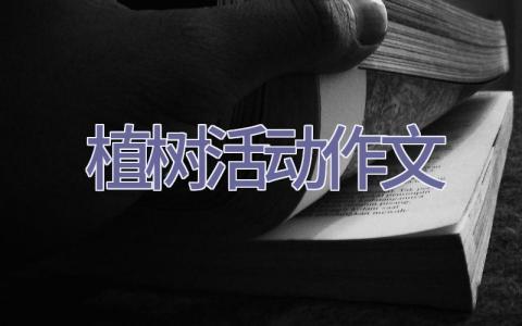 植树活动作文插图