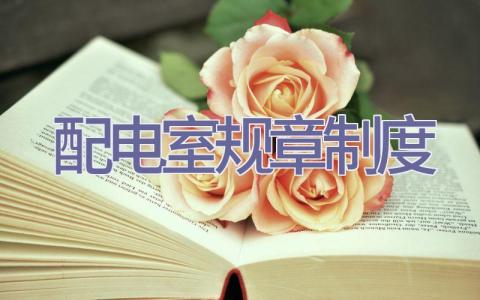 配电室规章制度插图