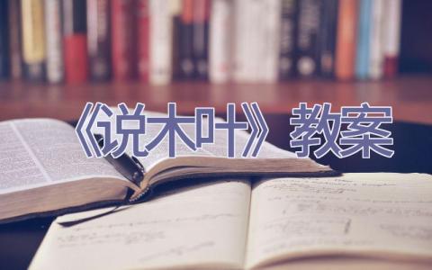 《说木叶》教案插图