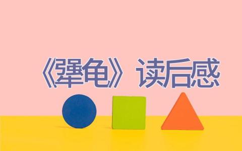 《犟龟》读后感插图