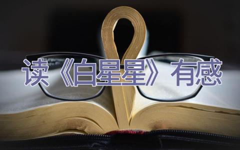 读《白星星》有感插图