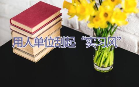 用人单位刮起“实习风”插图